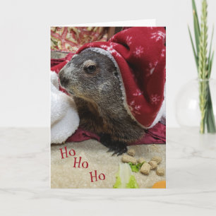 NIEUW!! Groundhog-kerstkaart B Feestdagen Kaart