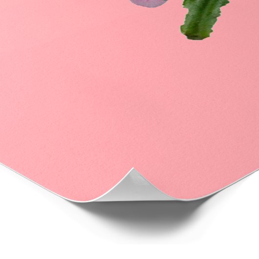 Nieuw-Guinea Impatiens roze en wit Poster (Hoek)