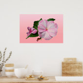 Nieuw-Guinea Impatiens roze en wit Poster (Keuken)