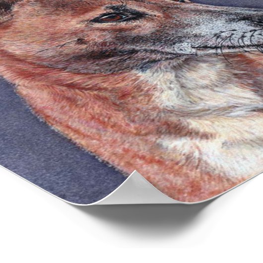 Nieuw-Guinea Singing Dog Portrait Poster (Hoek)