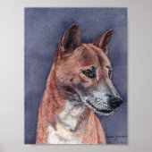 Nieuw-Guinea Singing Dog Portrait Poster (Voorkant)