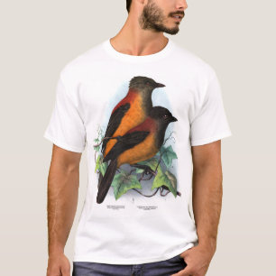 Nieuw-Guinea: Twee soorten Pitohui T-shirt