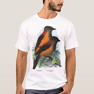Nieuw-Guinea: Twee soorten Pitohui T-shirt