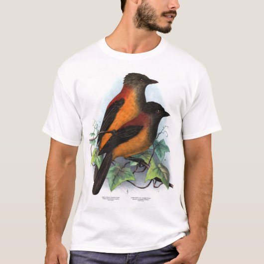 Nieuw-Guinea: Twee soorten Pitohui T-shirt (Voorkant)