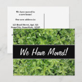 Nieuw Huis; Groene Hedge Shrub Type Plant Foto Aankondigingskaart (Voorkant / Achterkant)