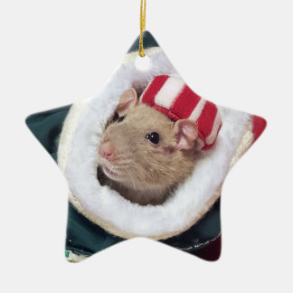 NIEUW!  Huisdierrat Coco-ornament Keramisch Ornament