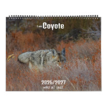 Nieuw! 'Ik ben Coyote' 2026/2027 kalender