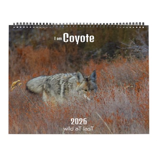 Nieuw! 'Ik ben Coyote' 2026 kalender (Hoes)