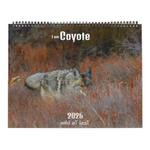 Nieuw! 'Ik ben Coyote' 2026 kalender