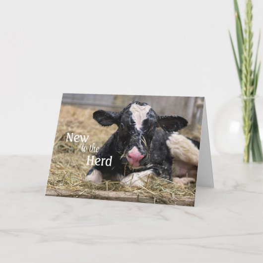 Nieuw in de Herd Baby Gefeliciteerd Kaart (Voorkant)
