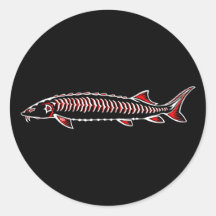 Nieuw inheems - witte steur