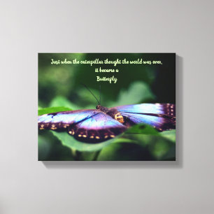Nieuw Inspirerend citaat beginnings Butterfly Canvas Afdruk