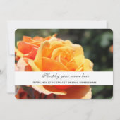 Nieuw jaar feest kaart (Achterkant)