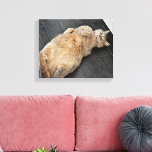 Nieuw Kat, kat op haar rug, Tabby Canvas Afdruk (Insitu (Woonkamer))