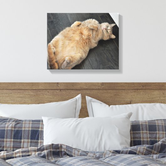 Nieuw Kat, kat op haar rug, Tabby Canvas Afdruk (Insitu (Slaapkamer))