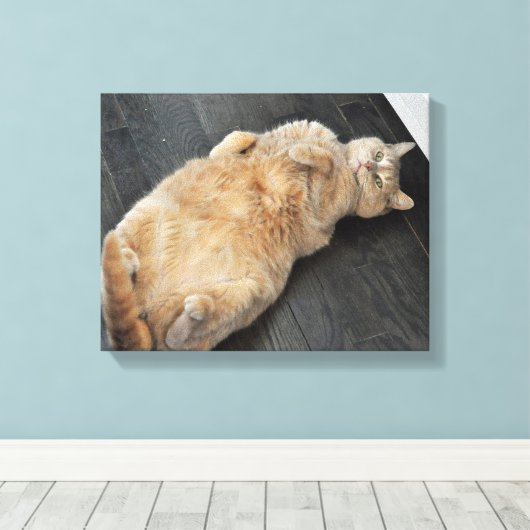 Nieuw Kat, kat op haar rug, Tabby Canvas Afdruk (Insitu (Houten vloer))