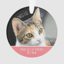 Nieuw kerstcadeautje Kat Kitten Foto Holiday