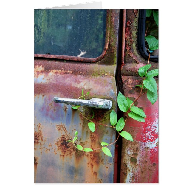 Nieuw leven (Voorkant)