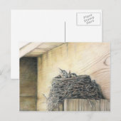 Nieuw leven onder Briefkaart van deck Robins Nest  (Voorkant / Achterkant)