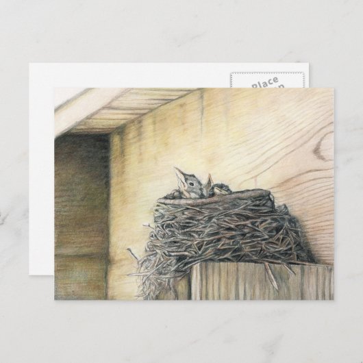 Nieuw leven onder Briefkaart van deck Robins Nest  (Voorkant / Achterkant)