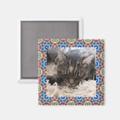 Nieuw Lijst met Pet Red en Blue Kerstster Square Magneet (Voorkant / Achterkant)