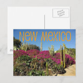 Nieuw Mexico Briefkaart (Voorkant / Achterkant)