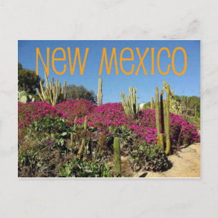 Nieuw Mexico Briefkaart