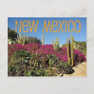 Nieuw Mexico Briefkaart