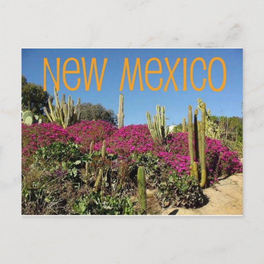 Nieuw Mexico Briefkaart (Voorkant)