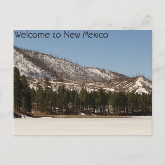 Nieuw Mexico-Briefkaart Briefkaart (Voorkant)