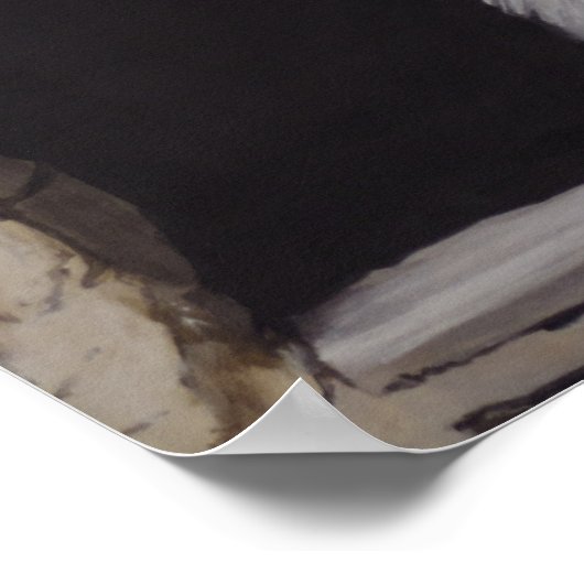 Nieuw Mexico - Fox Pop Surrealisme Poster (Hoek)