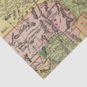 Nieuw Mexico Tissuepapier (Detail)