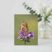 nieuw - mexico , verenigde staten van amerika briefkaart (Staand voorkant)