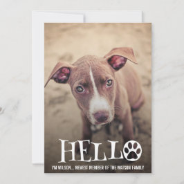 NIEUW ONDERZOEK NAAR AANKONDIGING VAN PET