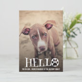 NIEUW ONDERZOEK NAAR AANKONDIGING VAN PET (Staand voorkant)