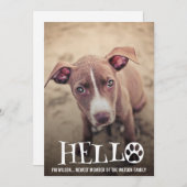 NIEUW ONDERZOEK NAAR AANKONDIGING VAN PET (Voorkant / Achterkant)