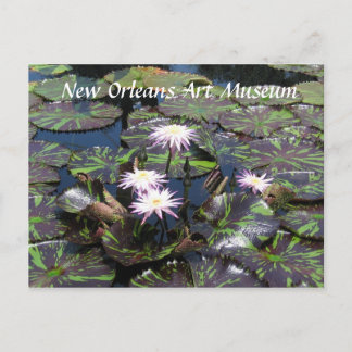 Nieuw Orleans Kunstmuseum Briefkaart