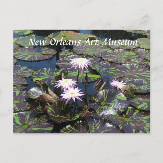 Nieuw Orleans Kunstmuseum Briefkaart (Voorkant)