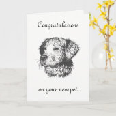 Nieuw pakket kaart (Gele Bloem)