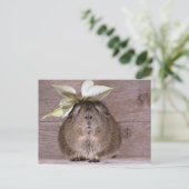 Nieuw Pet Guinee Pig Briefkaart (Staand voorkant)