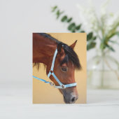 Nieuw Pony Briefkaart (Staand voorkant)