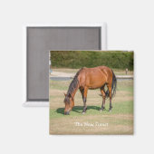 Nieuw Pony Magneet (Voorkant / Achterkant)
