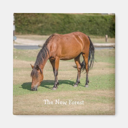 Nieuw Pony Magneet (Voorkant)