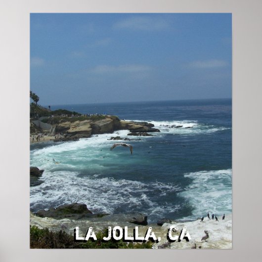 Nieuw Poster (Voorkant)