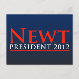 Nieuw President 2012 Briefkaart
