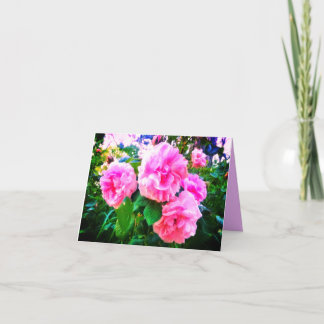 NIEUW! ROZE ROZEN VERJAARDAGSKAART KAART