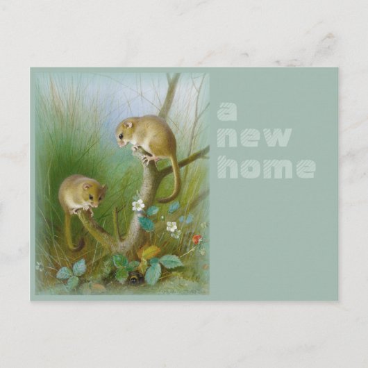 Nieuw startpunt CC0112 Archibald Thorburn Dormice Aankondigingskaart (Voorkant)