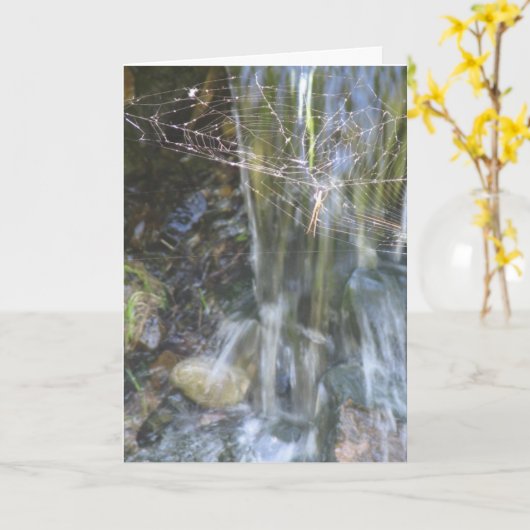 Nieuw startpunt kaart (Gele Bloem)