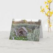 Nieuw startpunt kaart (Gele Bloem)