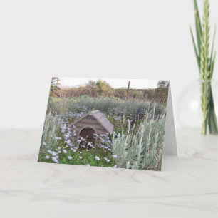 Nieuw startpunt kaart